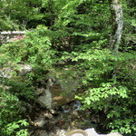 竹やぶ - 店の前を流れる小川