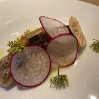 RISTORANTE IL NODO - 小坪漁港のスズキ　初夏の大根とフェンネル
