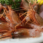 おさかな専門店 魚鶴 - シマエビ