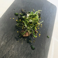 クイントカント - 