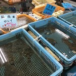 白子漁港直売所 魚魚鈴 - 