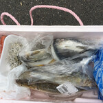 白子漁港直売所 魚魚鈴 - 