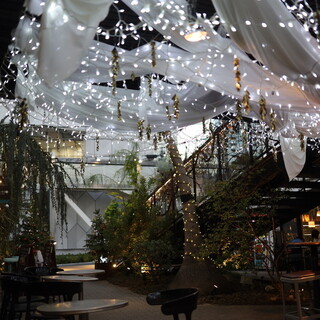 ディムライト コーヒー_2