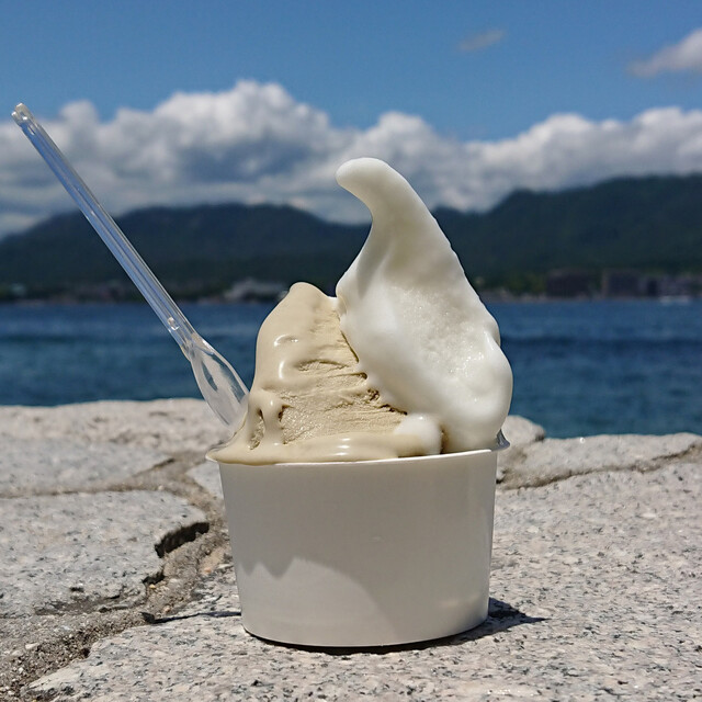 ジェラテリア バッカーノ Gelateria Baccano 広電宮島口 アイスクリーム 食べログ ジェラテリア バッカーノ Gelateria Baccano 広電宮島口 アイスクリーム 食べログ