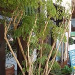 ラ マティエール - 