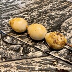 鳥さわ22 - 白玉