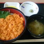みさき - 限定の生赤うに丼は「超まいうー」でした。