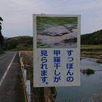 料亭 やまさ旅館 - 安心院の清流