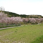料亭 やまさ旅館 - 安心院の風景