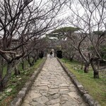 ザ・リッツ・カールトン沖縄 - 登り下方を見た処