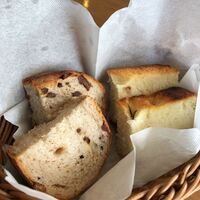 トラットリア ブラチェリア アゴスティーノ!! - 