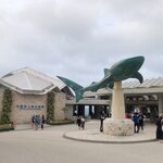 ザ・リッツ・カールトン沖縄 - 美ら海水族館の入口