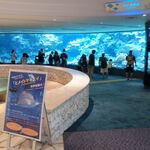 ザ・リッツ・カールトン沖縄 - 入って直ぐの水槽