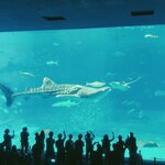 ザ・リッツ・カールトン沖縄 - 黒潮への旅２