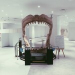 ザ・リッツ・カールトン沖縄 - 海水族館外の骨格（なんだろう？）