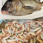 ラーメン巌哲 - 巌哲弁当 公式画像