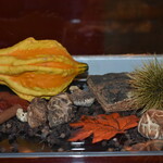 L'ATELIER de Joël Robuchon - 