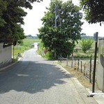 蕎麦 阿き津 - 左側がお店、屋敷森のなかです