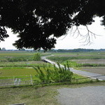 蕎麦 阿き津 - 席から見える風景