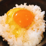 ホルモン 稲田屋 - 