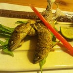 別邸 きときと - 