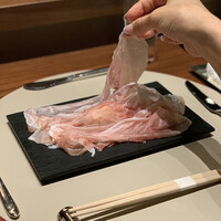 スガラボヴィー - 