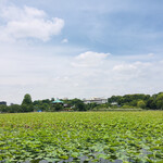 Yushima Tendon Kiyomatsu - 