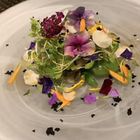 ARMONICO - 