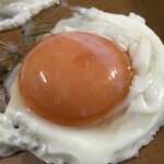 Rakka Sei - 玉子は栄養一杯で黄身はオレンジ色です