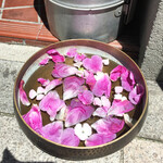 三燈舎 - 水盤の花も日替わり