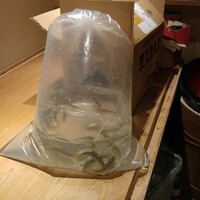 日本橋 蕎ノ字 - 