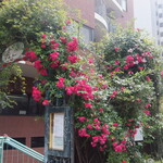 マーヴェラス パラディ - １階入口