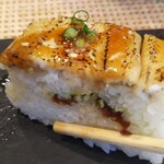 玄海鮨 - 地層の研究  最近の気に入り