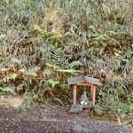 齋華 - 庭に鎮座するお地蔵様。