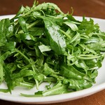 Green salad with arugula and selvachico