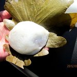 菊園 - かしわ餅！(2012,05/19)