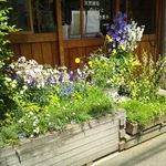 カフェむぎわらい - 