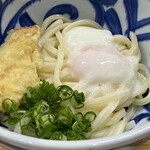 本格手打ちうどん まごころ - 