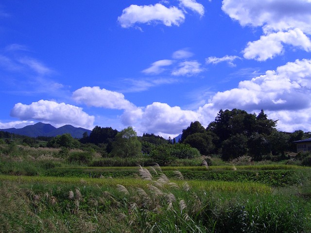 カームヒル（CalmHill） - 茂吉記念館前（ピザ）の写真