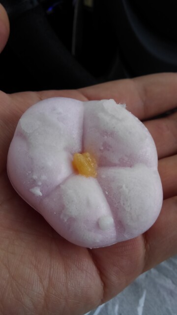 果樹工房 YOSHIDA &ndash; 上山の和菓子店 | かみのやま温泉で季節の甘味を堪能