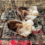 富小路 やま岸 - 