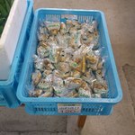 八紘学園 農産物直売所 - 【2012年05月】商品：江別産山わさび（＠120円／袋）。