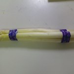 八紘学園 農産物直売所 - 【2012年05月】購入した、ホワイトアスパラ。
