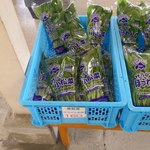 八紘学園 農産物直売所 - 【2012年05月】商品：恵庭産サラダ小松菜＠160円／袋。