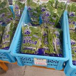 八紘学園 農産物直売所 - 【2012年05月】商品：恵庭産サラダほうれん草（＠160円／袋）。