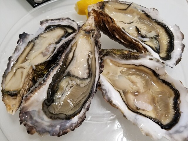 サカナバッカ 都立大学店 Sakanabacca 都立大学 海鮮丼 食べログ サカナバッカ 都立大学店 Sakanabacca 都立大学 海鮮丼 食べログ