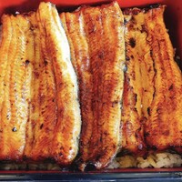 駒形前川 浅草本店 -  駒形前川 浅草本店 -