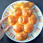 ＤＯＮＱ - ぶどう畑