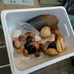 大徳 - 本日の貝