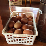 徳島ラーメン人生 - 生卵は無料です